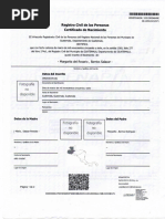 PDF Documento