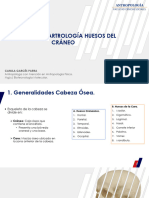 Osteoartrología Huesos Del Cráneo