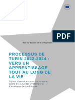 New Torino Process 2022-24 Framework - FR - 0