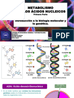 Clase 4 GENETICA 2023 Primera Parte