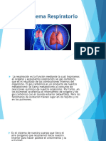 Sistema Respiratorio