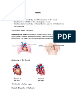 Lecture 5 (Heart)