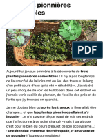 3 Plantes Pionnières Comestibles - Plantes Sauvages Comestibles