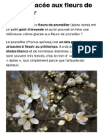 Crème Glacée Aux Fleurs de Prunellier - Plantes Sauvages Comestibles