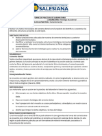 INFORME HISTOLOGIA Cemento