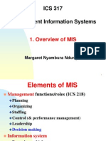 1 Overview of MIS - 317