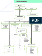 Organigrama Estructural