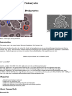 2017 Cells Eukaryotes and Prokaryotes
