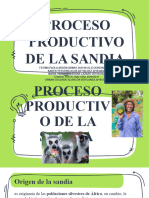 Proceso Productivo de La Sandia