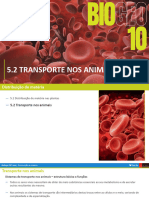 Sistema Circulatório2