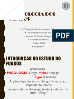 Aula 1 - Morfologia Dos Fungos 2021 Pgad Er