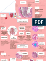 Resumo Histologia