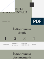  Proceso de Remesa Simple y Documentaria