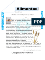 1° Lectura, Los Alimentos