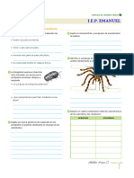 Tipos de Artrópodos 1°