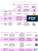 Células Del Tejido Conectivo
