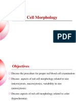 3.red Cell Morphology