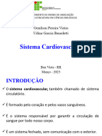 Sistema Cardiovascular 2023