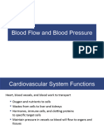 Blood Flow and Pressure