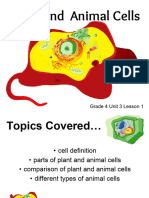 Plant and Animal Cells: Grade 4 Unit 3 Lesson 1