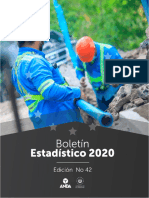 Estadistico 2020