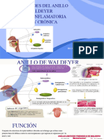 Anillo de Weldeyer, Patologias Cronicas