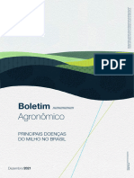 Boletim Agronomico - Principais Doenças Milho - 07