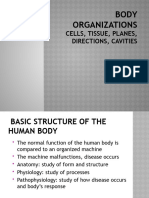 Human Body Cavitiespptx