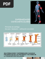 Enfermedades Osteoarticulares