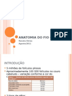 Anatomia Do Fio Capilar