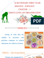 Xi New Zoo-Chapt - 3-Tissue Level Organisation