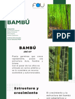 BAMBÚ