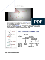 Beta Oxidation of Fatty Acids