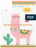 Pré Natal - Risco Habitual ENFERMAGEM