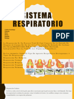 Sistema Respiratorio 1