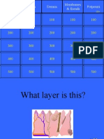 Integumentary Jeopardy