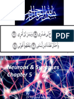 Chapter 5 A Neurons & Synapses