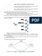 Ejercicios 2 12 Genetica Molecular