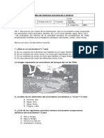 Prueba de Ciencias Naturales 4° Básico Ecosistema