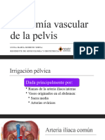 Anatomía Vascular de La Pelvis