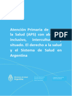 Aps Abordaje Inclusivo Intercultural Situado Derecho A La Salud Sistema de Salud Argentina