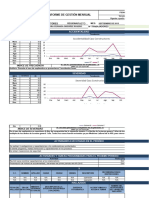 Informe Gestion Mensual