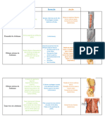 Tabela Cabeça e Tronco - Musculos