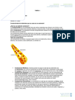 Tarea de Refuerzo - Electricidad Automotriz1