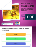 Biodiversity of Micro-Organisms