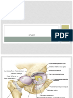 Hip Joint.