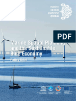 Marine Spatial Planning and Sustainable Blue Economy