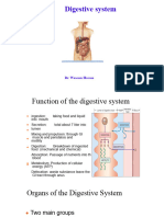 Digestive System 1