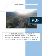 Informe-Sausal Alto Ii