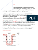 Le Mã©canisme de Concentration Dilution de L'urine Copie